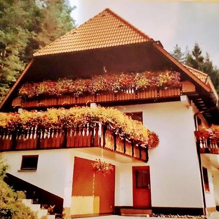 Ferienwohungen Im Kuchersbach Хорнберг Екстериор снимка