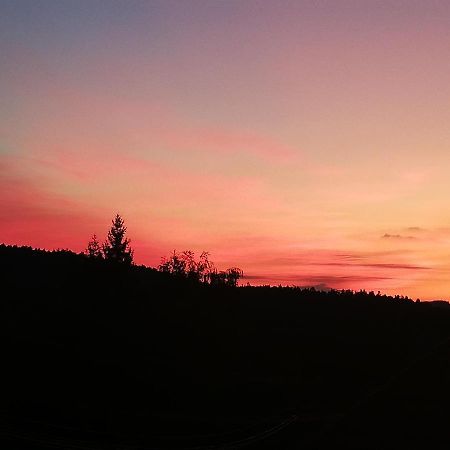 Ferienwohungen Im Kuchersbach Хорнберг Екстериор снимка