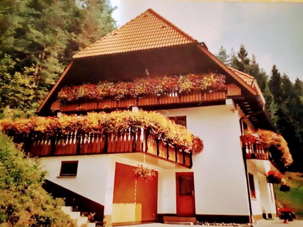 Ferienwohungen Im Kuchersbach Хорнберг Екстериор снимка