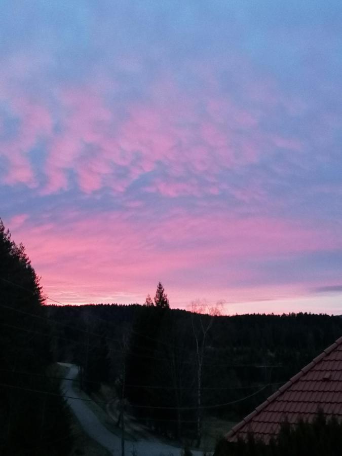 Ferienwohungen Im Kuchersbach Хорнберг Екстериор снимка