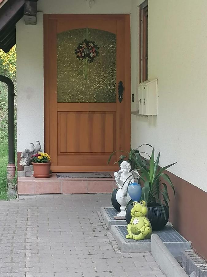 Ferienwohungen Im Kuchersbach Хорнберг Екстериор снимка