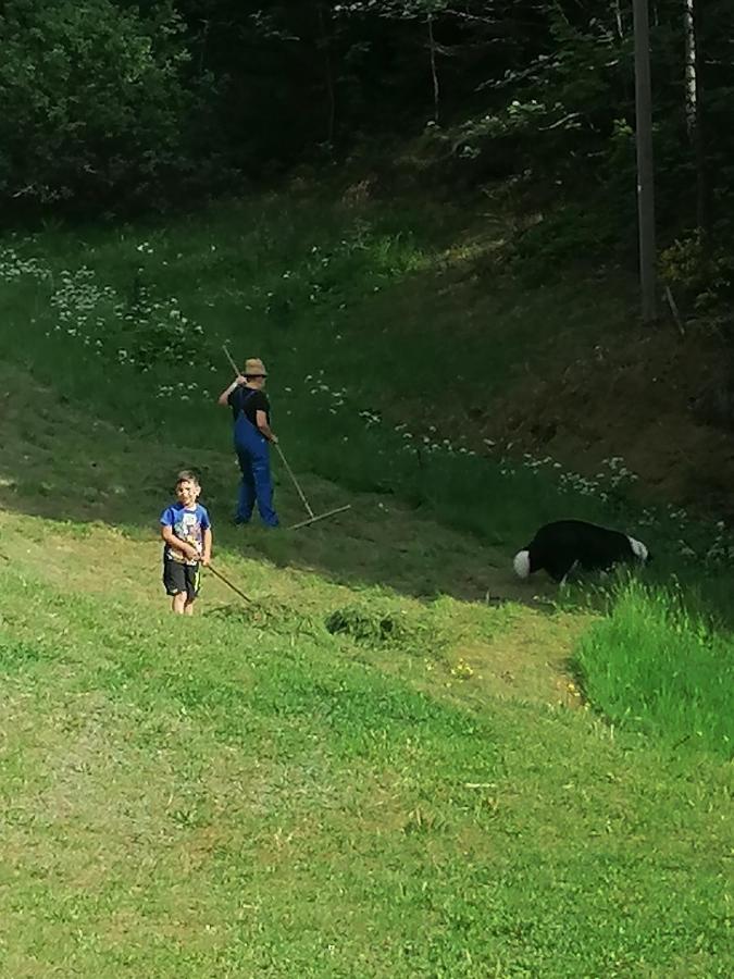 Ferienwohungen Im Kuchersbach Хорнберг Екстериор снимка