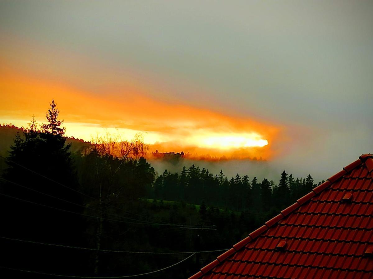Ferienwohungen Im Kuchersbach Хорнберг Екстериор снимка