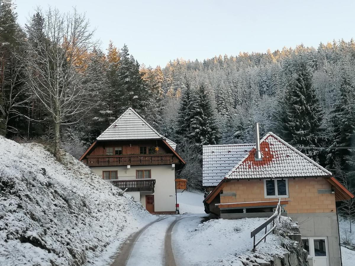 Ferienwohungen Im Kuchersbach Хорнберг Екстериор снимка