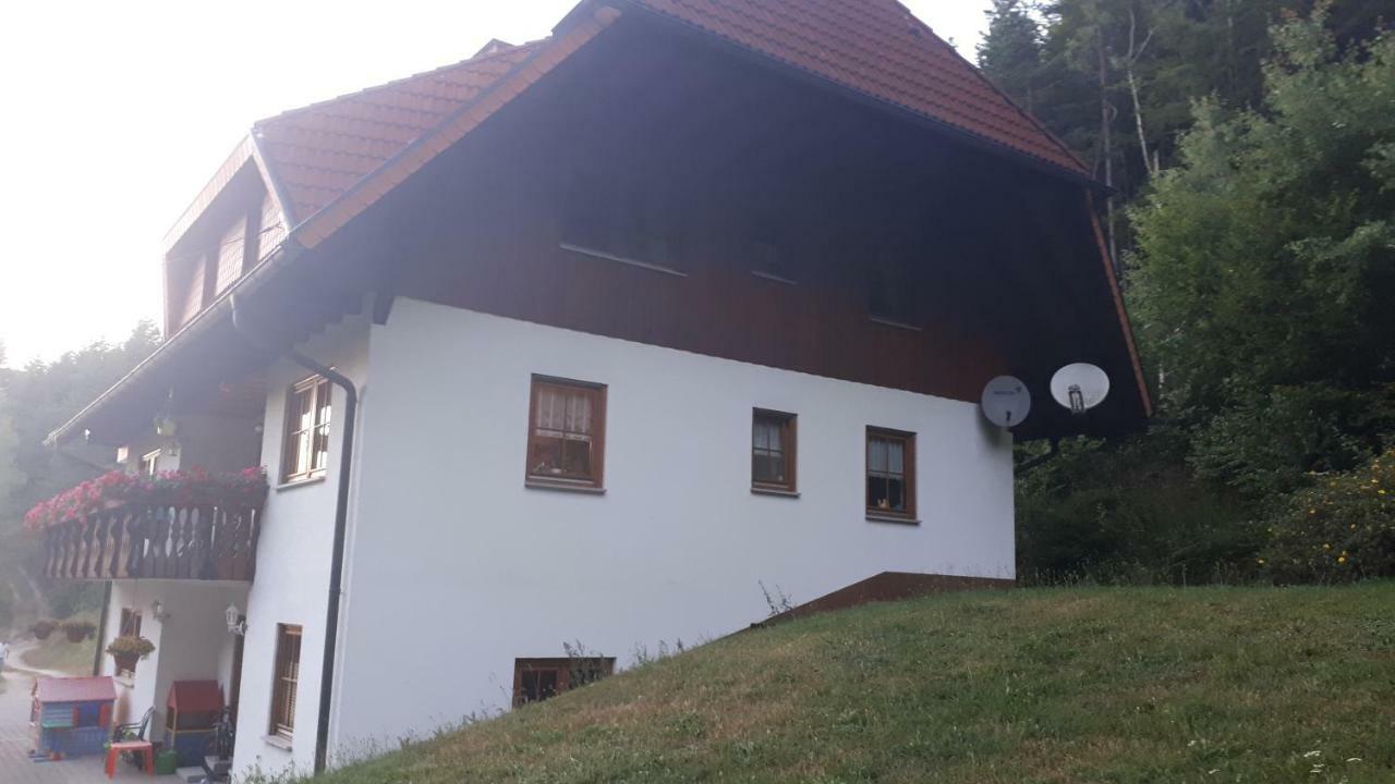 Ferienwohungen Im Kuchersbach Хорнберг Екстериор снимка